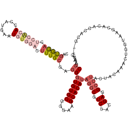 secondary structure