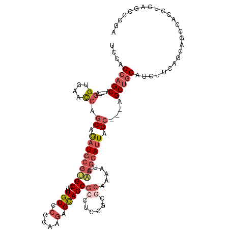 secondary structure