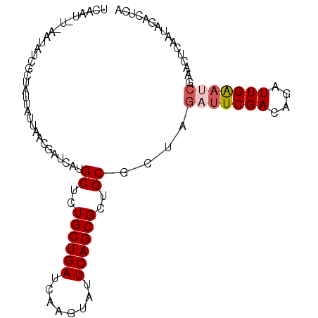 secondary structure