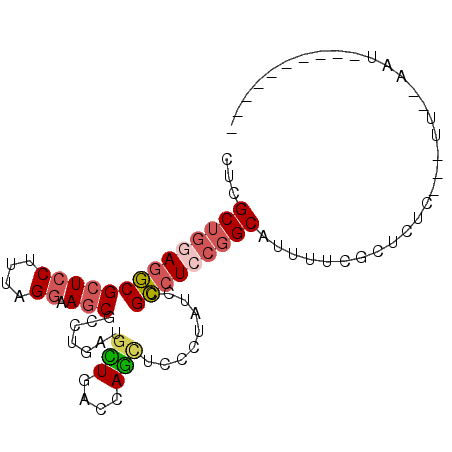 secondary structure