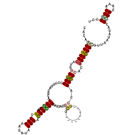 secondary structure