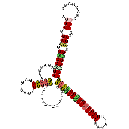 secondary structure