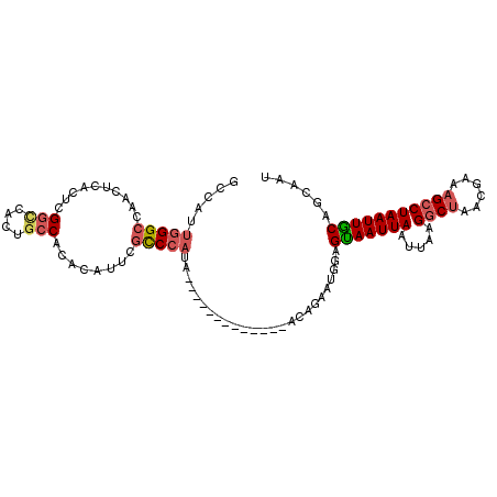 secondary structure