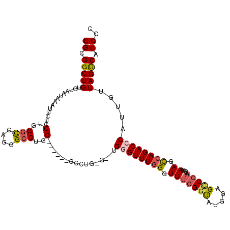 secondary structure