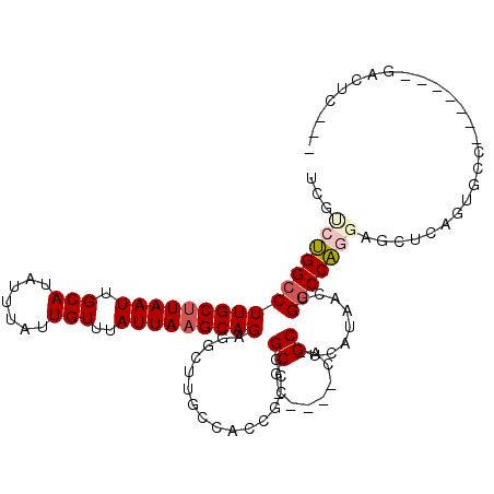 secondary structure