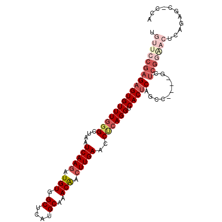 secondary structure