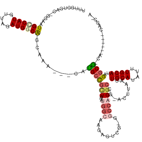 secondary structure