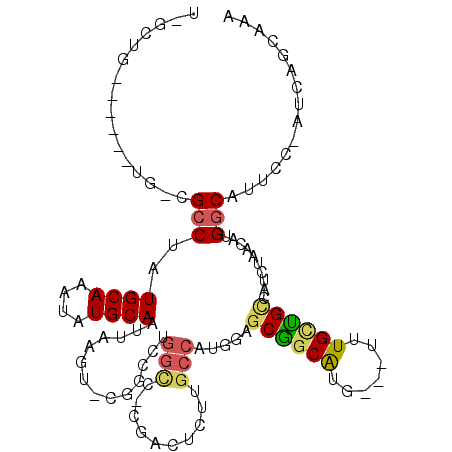 secondary structure