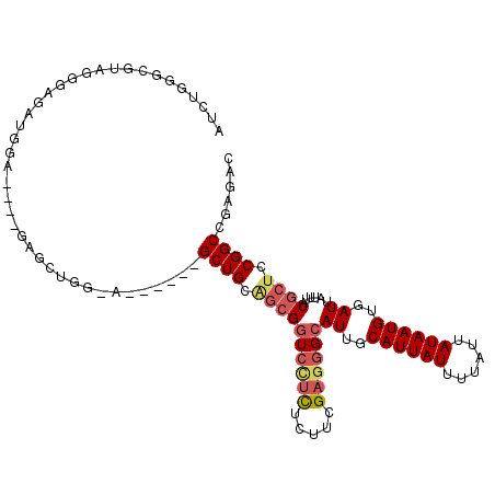 secondary structure