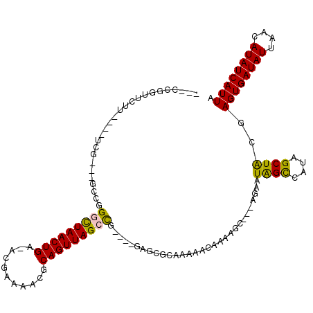 secondary structure