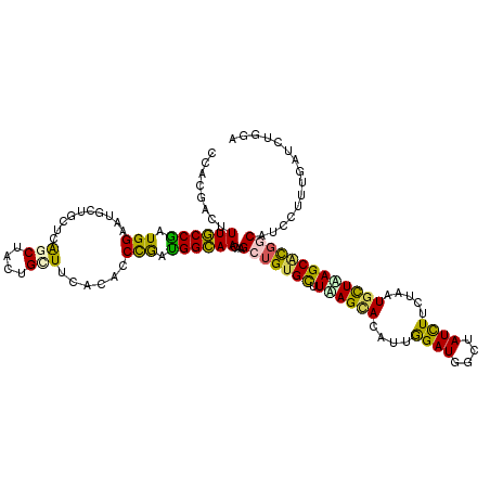 secondary structure