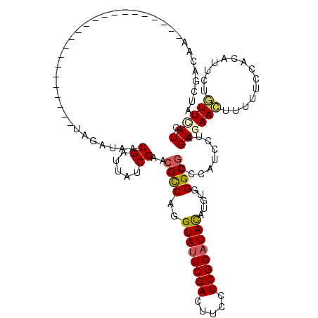 secondary structure