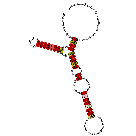 secondary structure