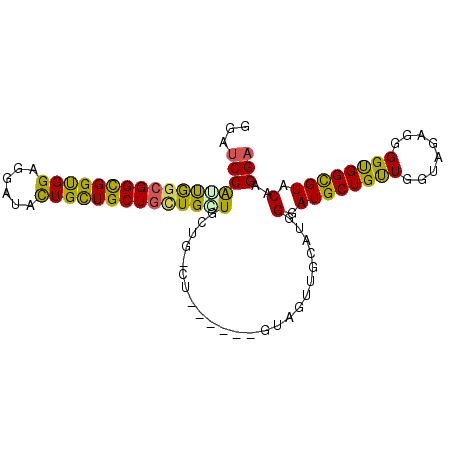 secondary structure