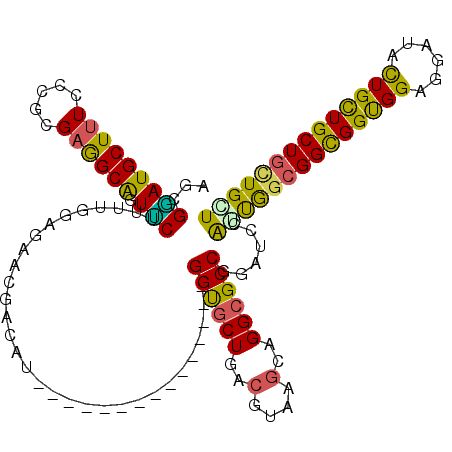 secondary structure