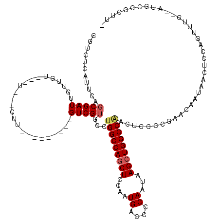secondary structure