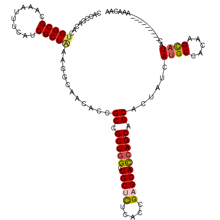 secondary structure
