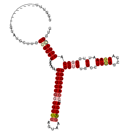 secondary structure