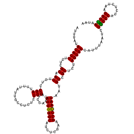 secondary structure