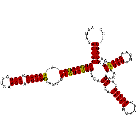 secondary structure