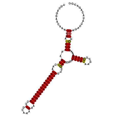 secondary structure
