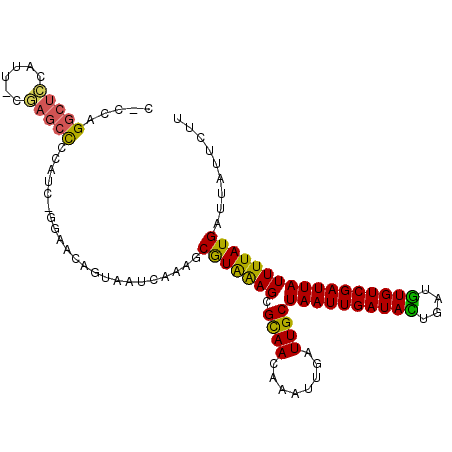 secondary structure