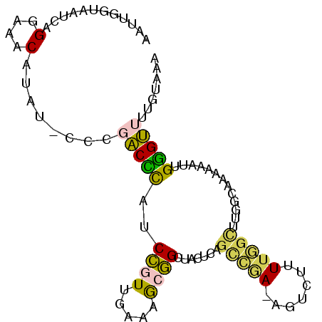 secondary structure