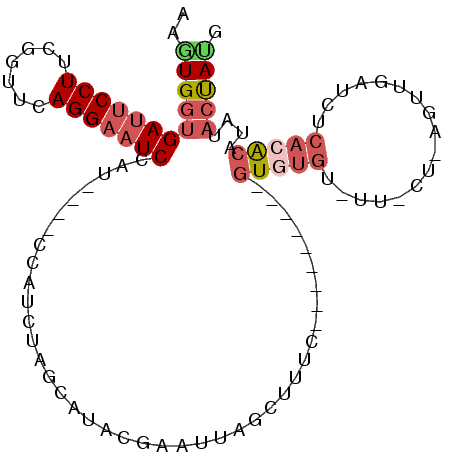 secondary structure