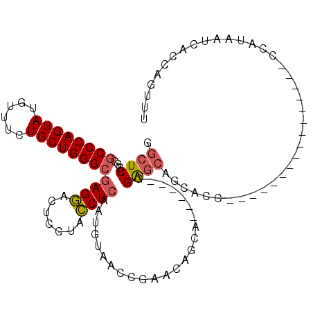 secondary structure