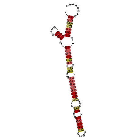 secondary structure