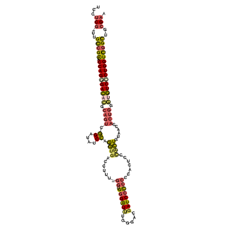 secondary structure