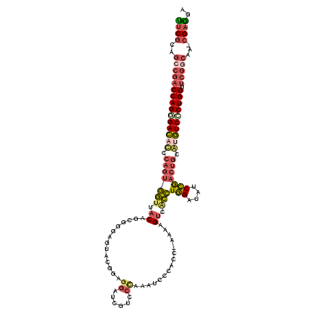 secondary structure