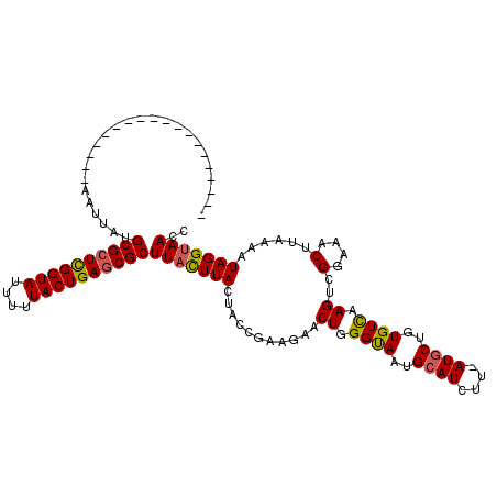 secondary structure