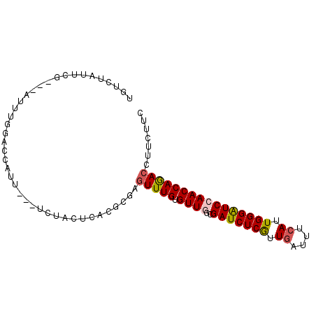 secondary structure