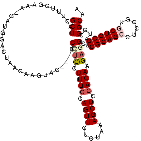 secondary structure