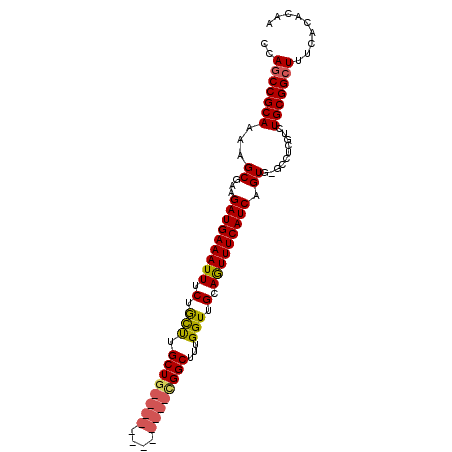 secondary structure