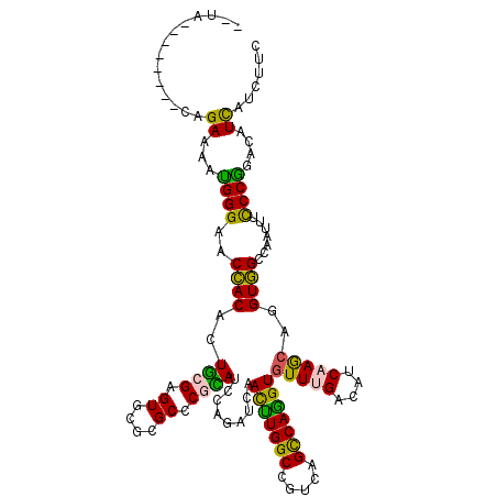 secondary structure