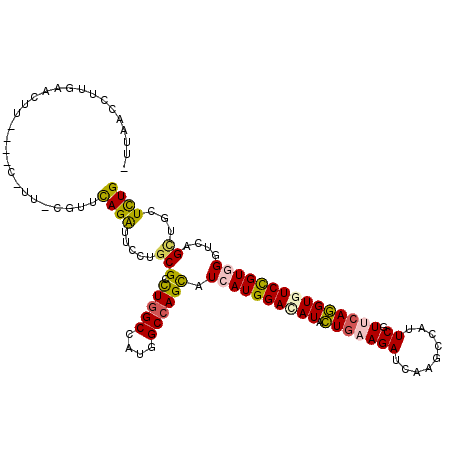 secondary structure
