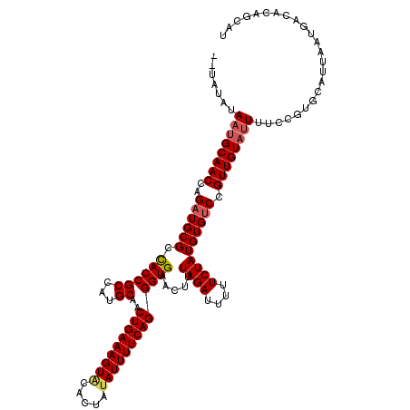 secondary structure