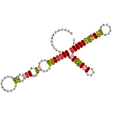 secondary structure
