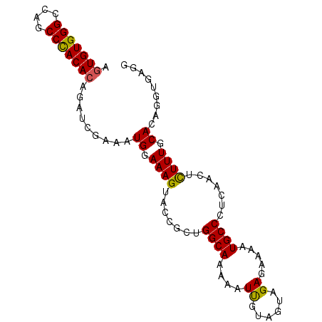 secondary structure