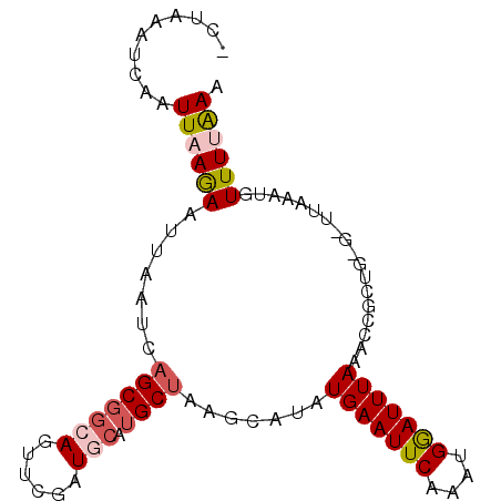 secondary structure