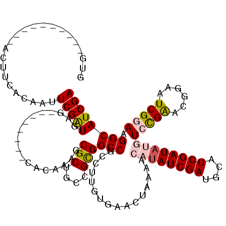 secondary structure