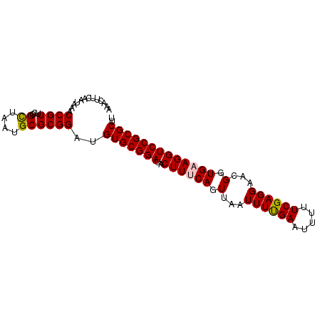 secondary structure