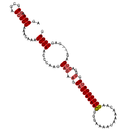 secondary structure
