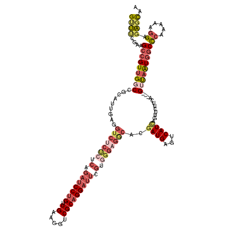 secondary structure