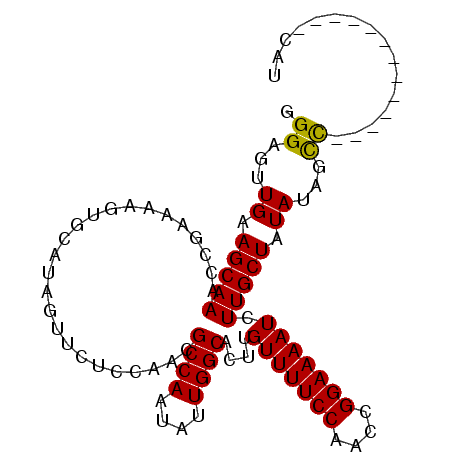 secondary structure