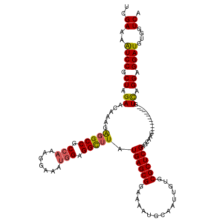 secondary structure