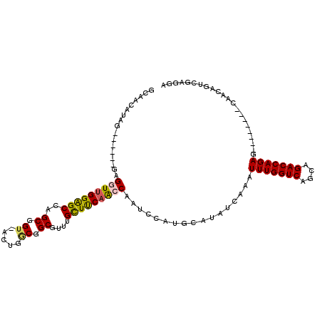 secondary structure