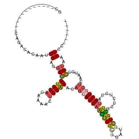 secondary structure